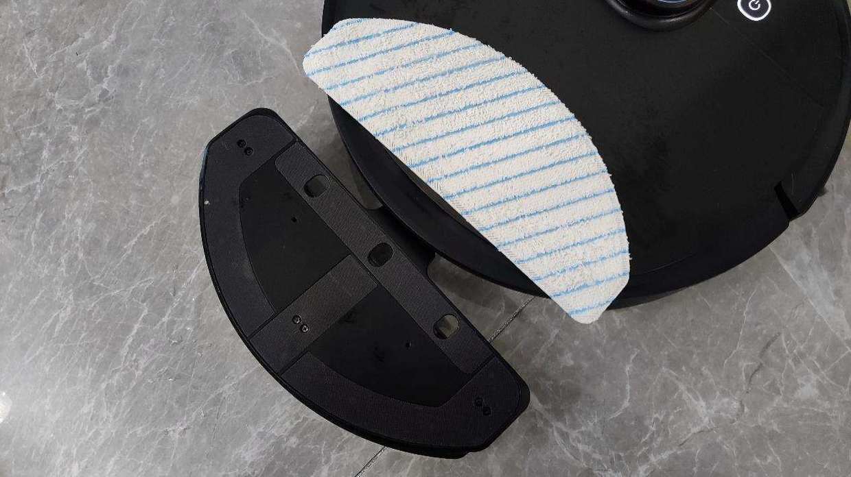 家有猫主的铲屎官,家有猫咪铲屎官