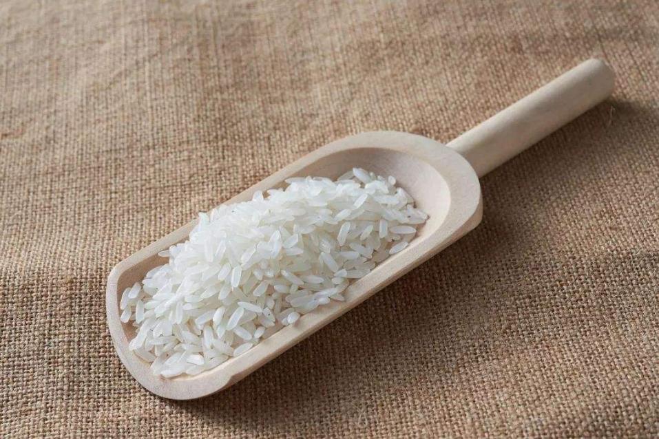 米罐里面有很多虫子,米罐里的虫子怎么去除