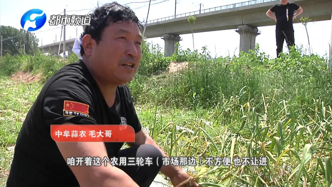 蒜你狠大蒜价格,蒜你狠改编版