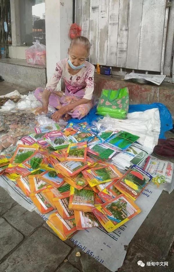 疫情当下风雨飘摇,缅甸最新疫情局势图表