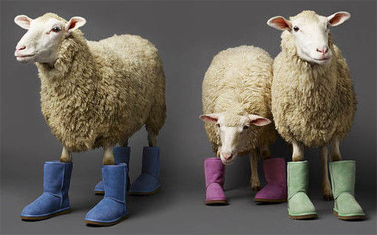 澳大利亚的ugg是中国产的吗,ugg是美国还是澳洲的