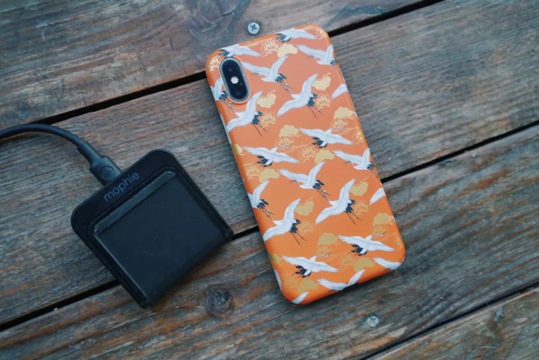 10件过年提前必备好物推荐 (过年必买的10件商品)