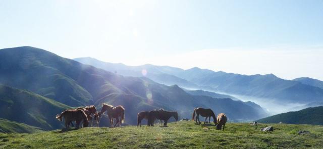 大朝台与小朝台有何不同,五台山去了大朝台还要去小朝台吗