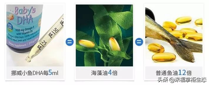 挪威小鱼dha婴幼儿鱼油,美国dha婴儿鳕鱼油