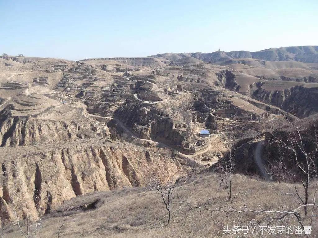 在老家打工和在城里打工的区别,在陕北生活的真实感受