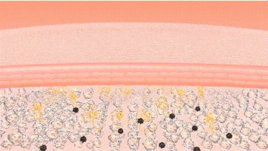 别光顾着脸白，身体皮肤也别落下。羊奶沐浴露让你肌肤嫩又白