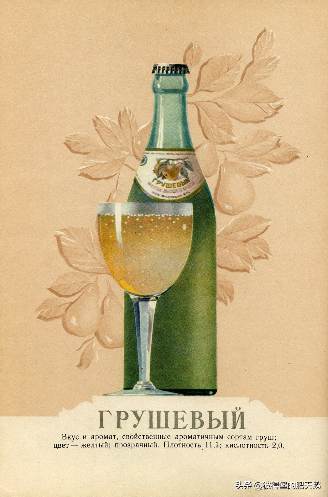 俄罗斯人回忆苏联汽水 (俄罗斯小时候的汽水)