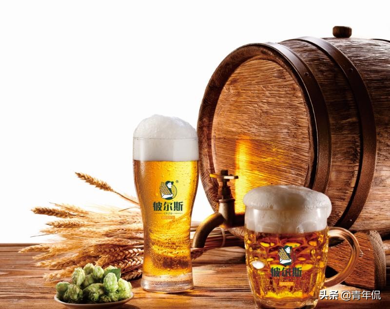 山东十大名酒都有哪些名字,山东十大名酒代表什么