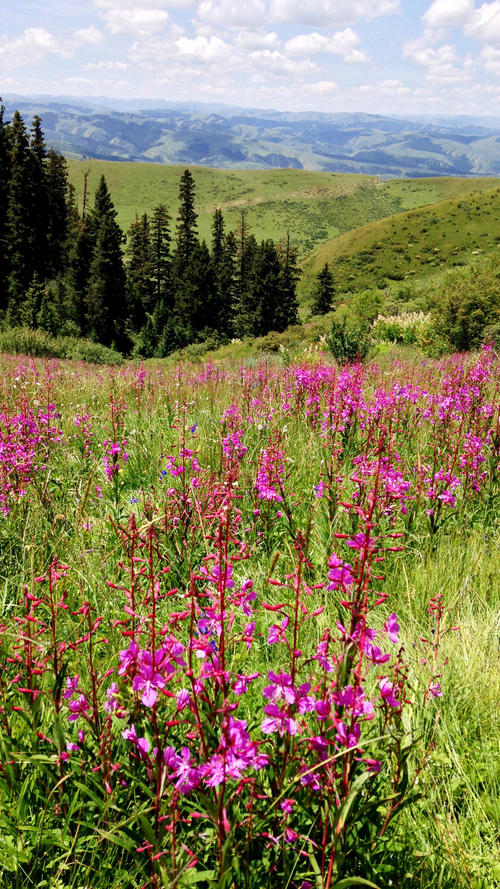 走进四川阿坝州,走进四川阿坝自治州