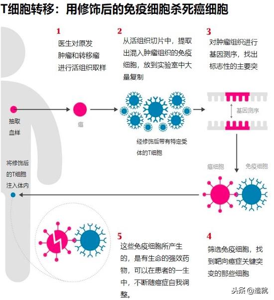美国科学家癌症治疗,美国治疗癌症的药成功吗