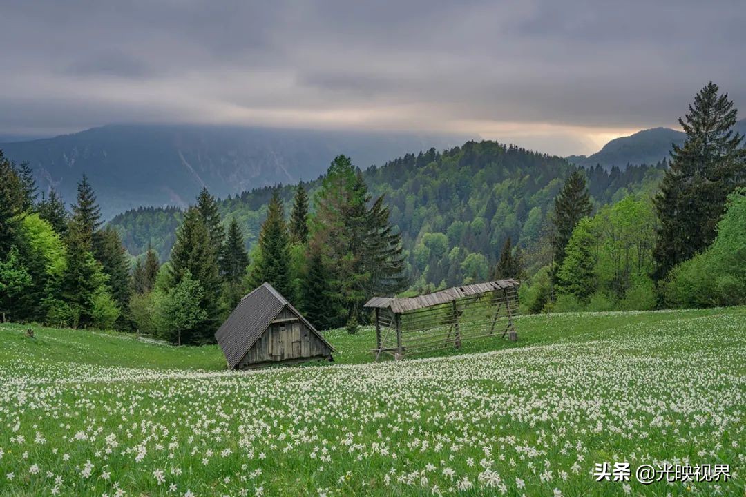 野花的风景,2020国际风景摄影大赛获奖作品