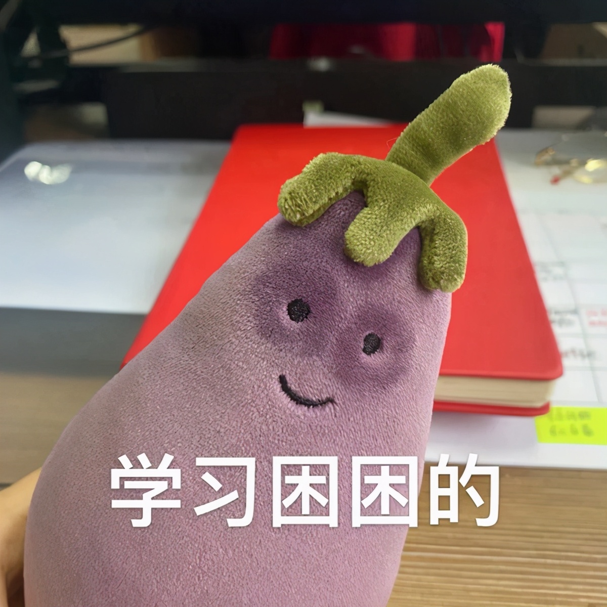 期末周｜学习*党**-换上最符合读书人心态的头像，萌宠辣妹表情包