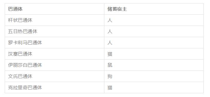 养猫得真菌头癣辟谣,养猫辟谣