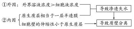 高中生物实验方法归纳图怎么画的,高中生物实验专题归纳