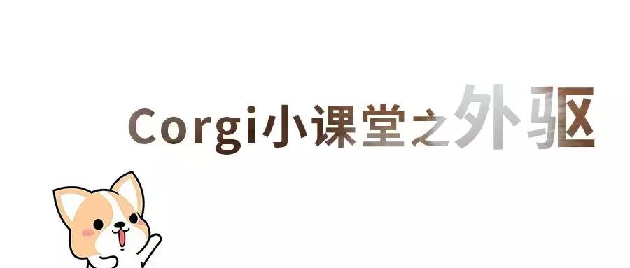 狗狗体外驱虫药都有哪些,狗狗体外驱虫药怎么选择