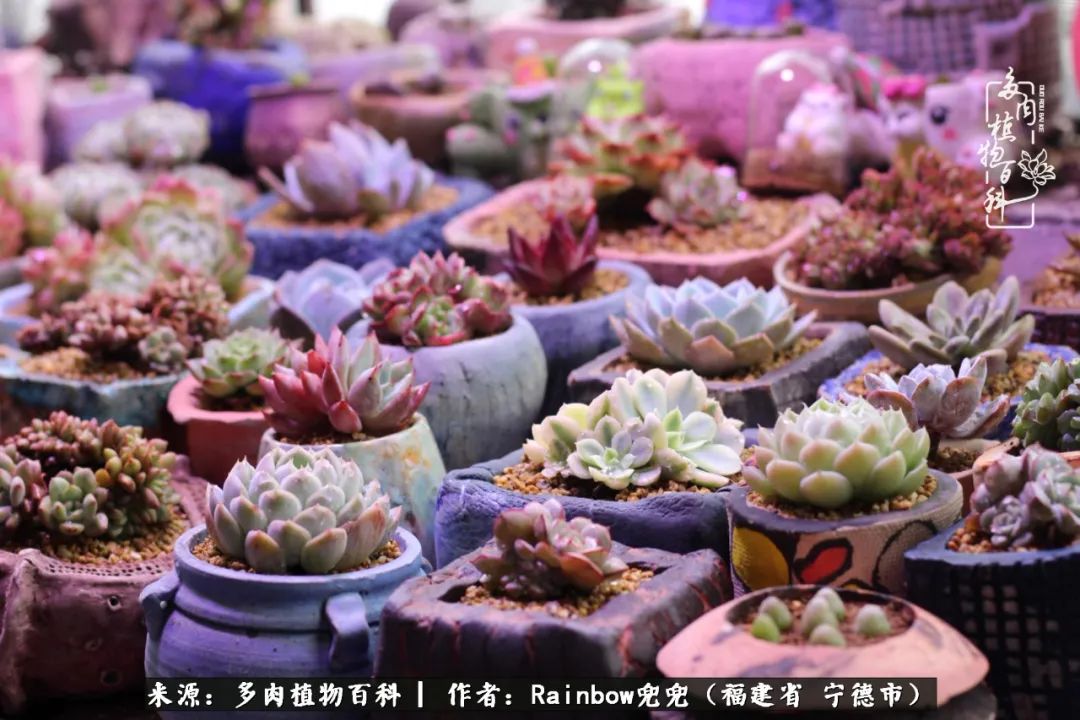 岁月无波澜余生不悲欢是啥意思,愿你岁月无波澜敬我余生无悲欢