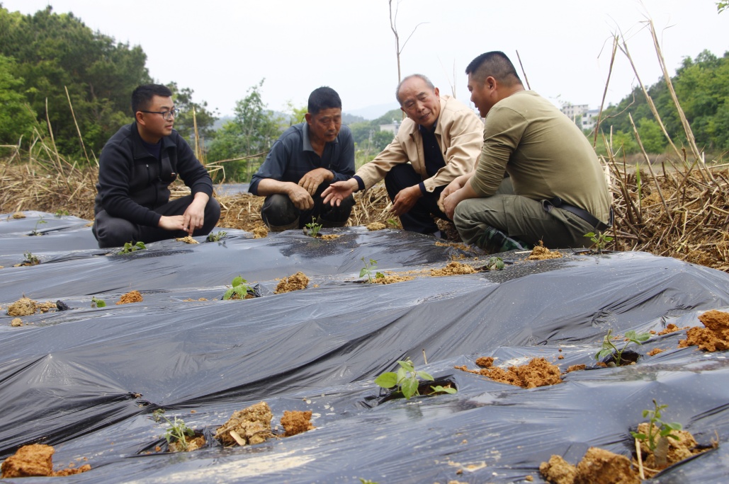 走向我们的小康生活七律,走向我们的小康生活图片