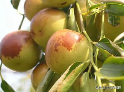 黄骅的文明城市,黄骅已经被评为国家中心城市了吗