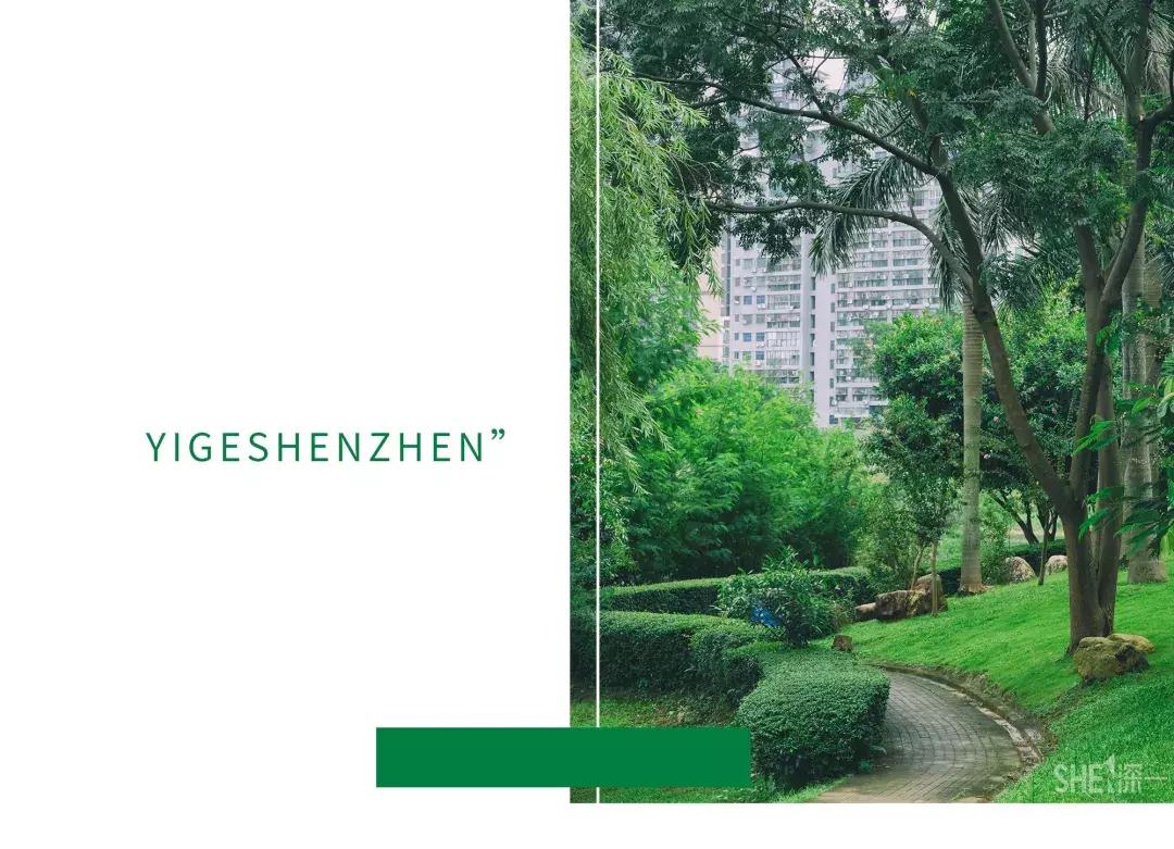 深圳市美美美,深圳最美免费水库