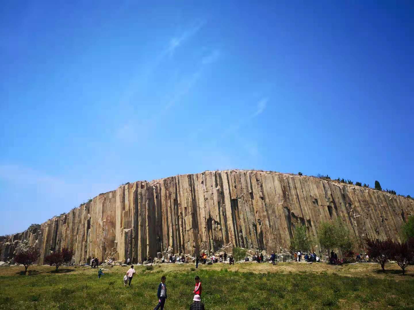 什么是最好的院子,什么样的院子