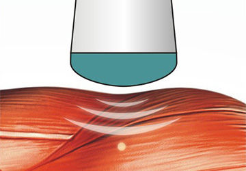 若有风骨藏于心岁月从不败美人,岁月从不败美人完整句是什么意思