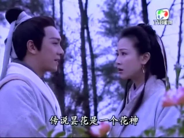 被这些电视剧带大的我，再也看不了翻版