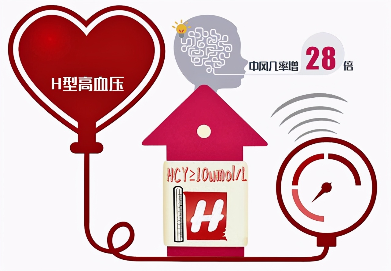 高血压吃哪种叶酸片效果好,高血压人一般都吃哪种叶酸片