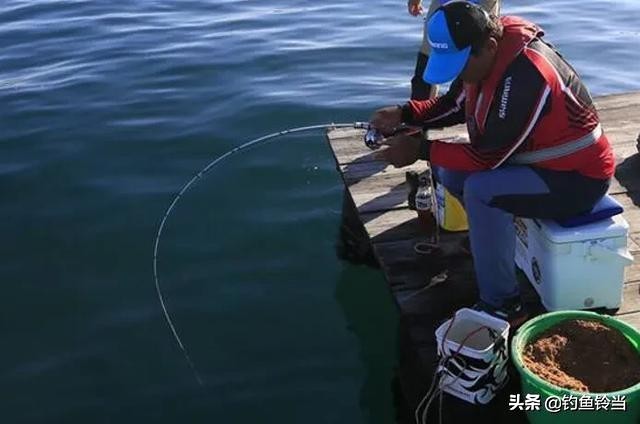 使用筏竿是否适合垂钓鲤鱼和鲫鱼,筏竿串钩黄辣丁垂钓技巧教程