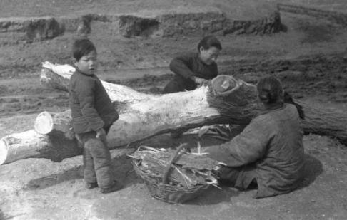 1942河南惨痛的历史悲剧,1942年河南亲历者