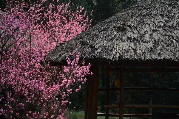 石象湖优惠,石象湖门票免费领取
