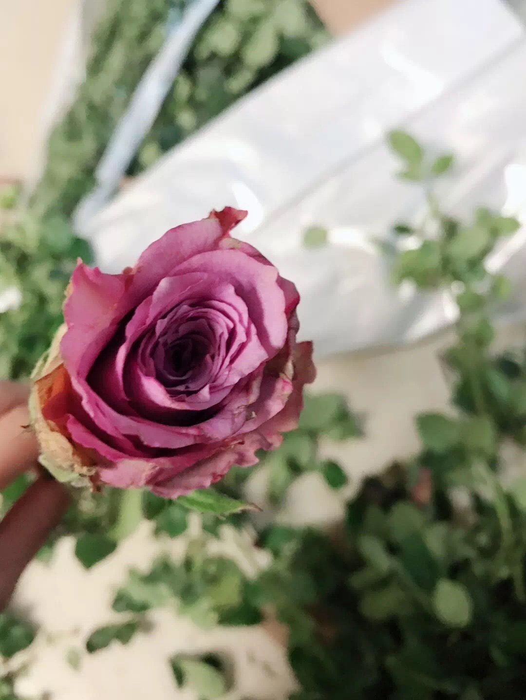 鲜花醒花前后怎么养好看,怎样醒花花期最长