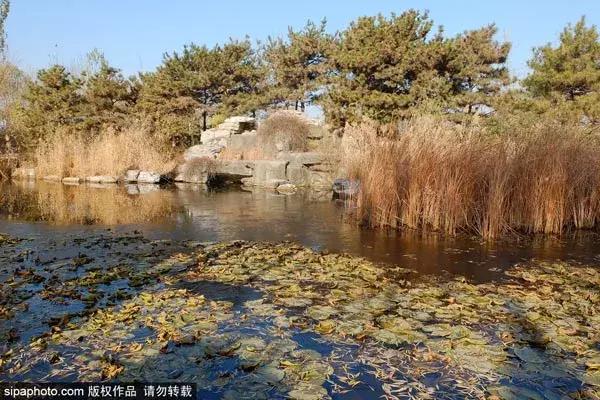 北京古塔公园推荐,北京最良心的古寺免费景点