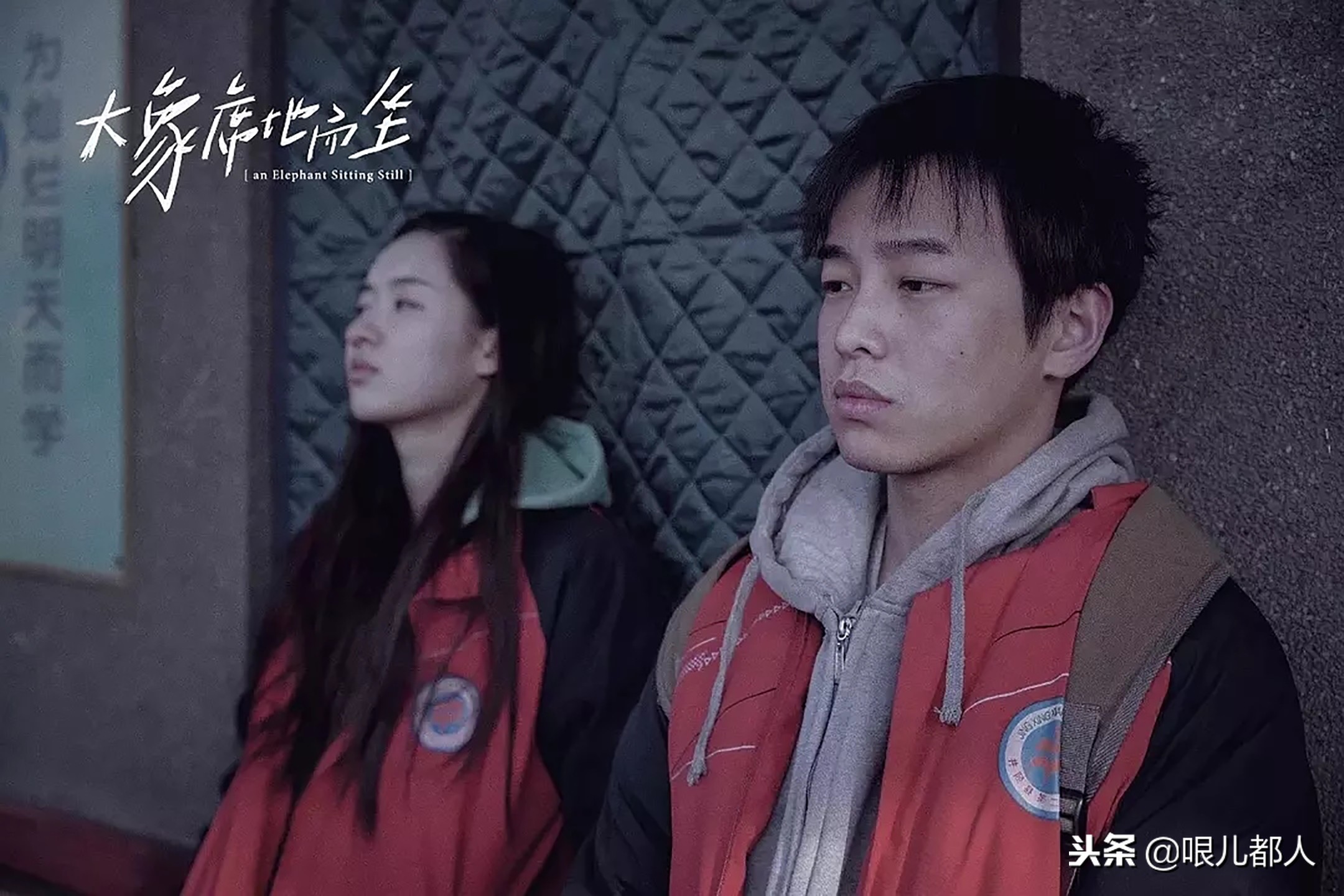 有人说，那只会席地而坐的大象是因为“腿折”了