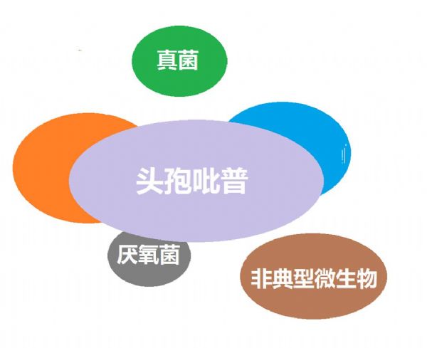 看图“话”抗菌谱，赶紧收藏