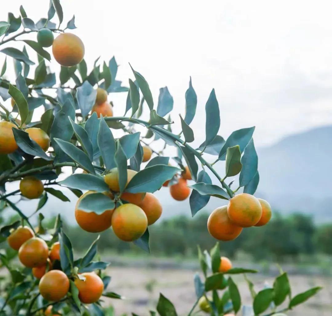 展会圆满落幕下届再见,展会圆满落幕2019