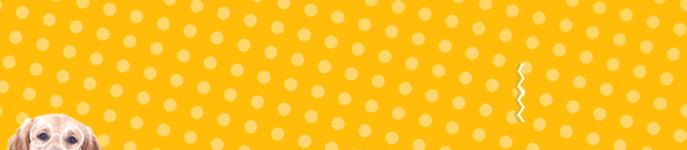 怀孕猫咪容易得哪些疾病,怀孕猫咪呼吸道感染怎么办