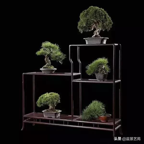 西泠印社砚台最高价拍卖记录,杭州西泠拍卖盆景