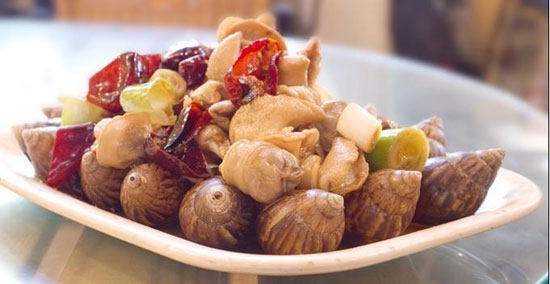 小壳维生素,小壳软磷脂