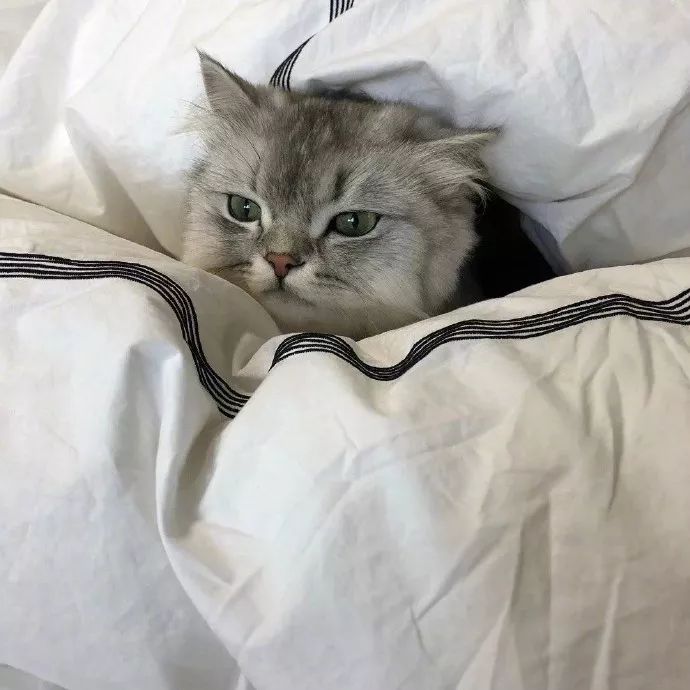 游戏里被绿了怎么办,在游戏中被绿