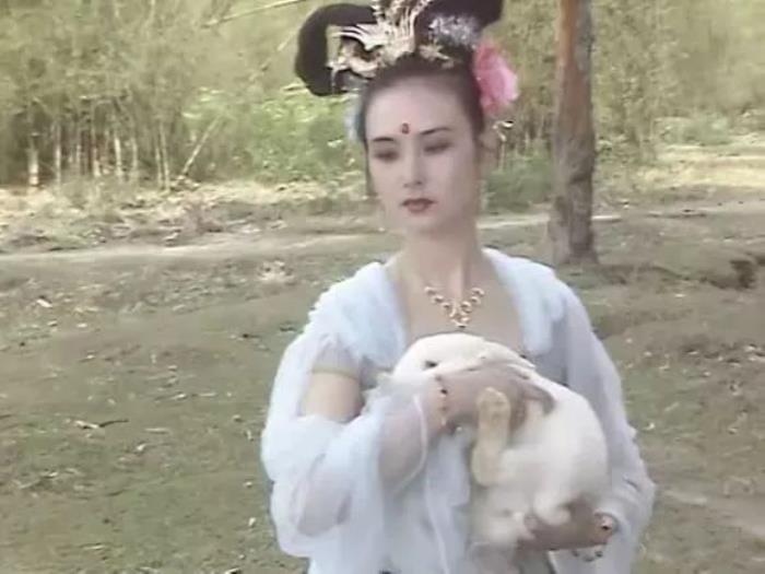 中秋红灯笼的由来,中秋由来拍摄视频