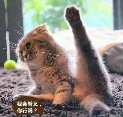 赵丽颖否认自己像杨幂,赵丽颖否认和他谈恋爱