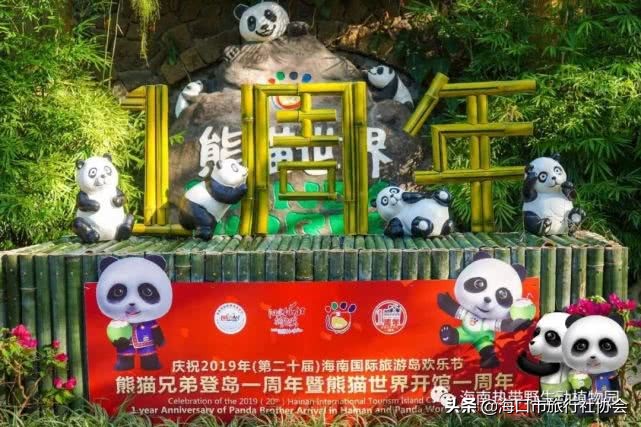 六条主题线路、200余项活动等你来嗨