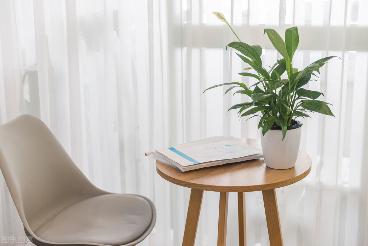 那些令人赞叹的庭院花卉,5种庭院生活方式的花卉