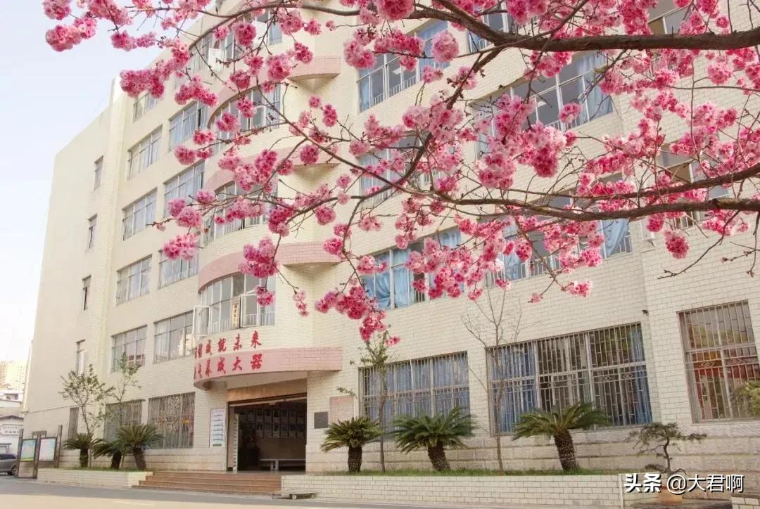 昆明市第二十四中学初中部,校园街拍昆明市第二十四中学