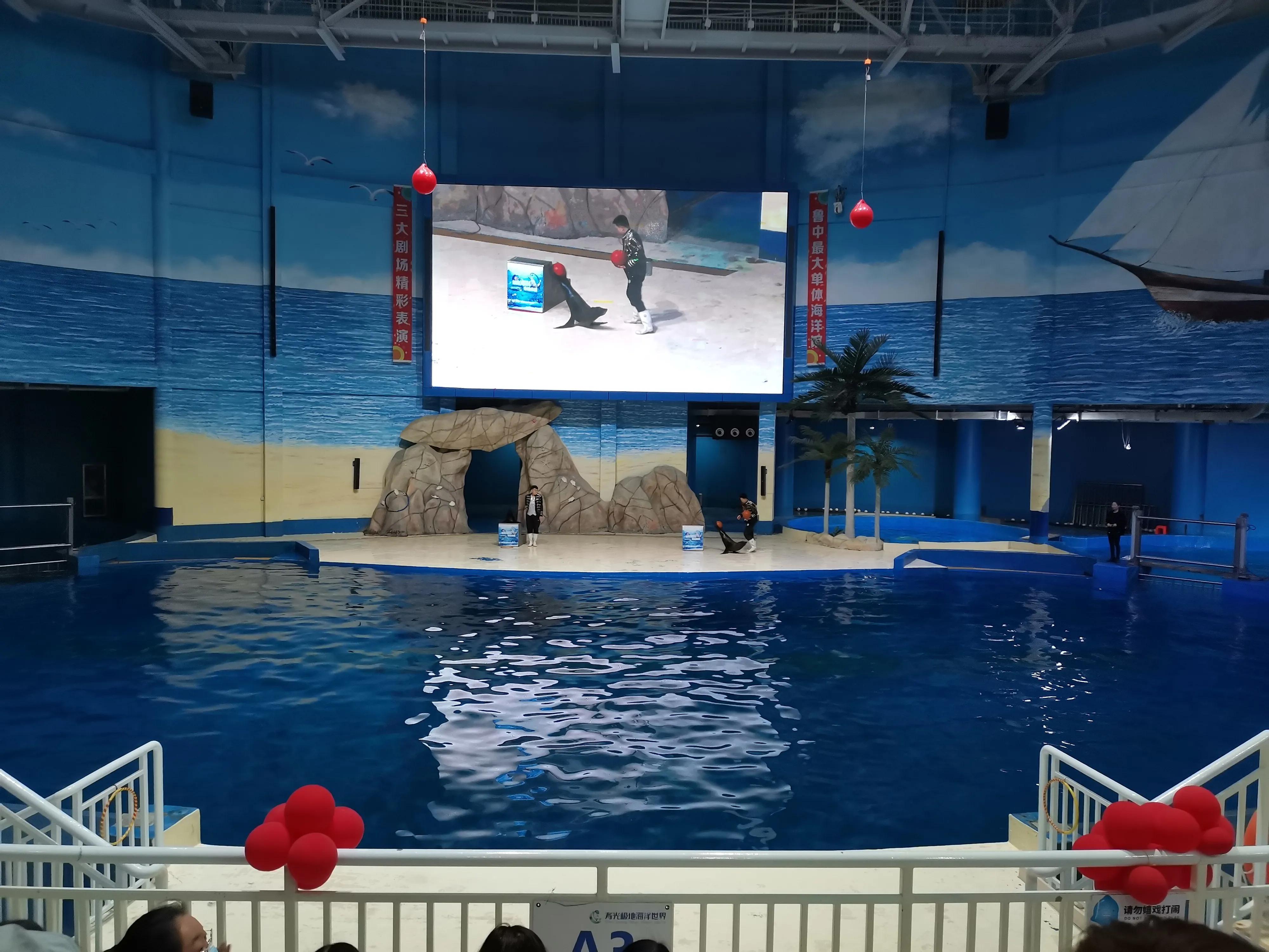 潍坊极地世界,寿光极地海洋世界人多吗