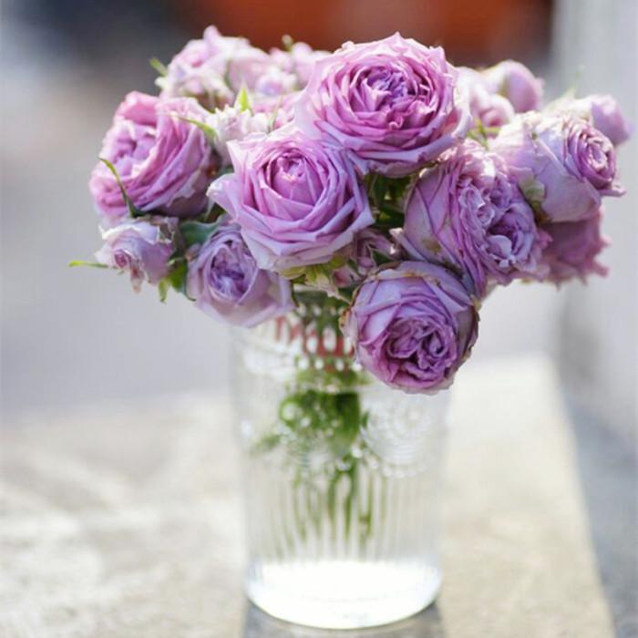 蓝色妖姬浪漫情怀,蓝色妖姬忧郁蓝调