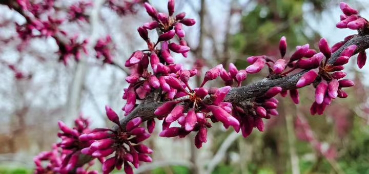 和谁在一起的确很重要美文,和谁在一起的确很重要