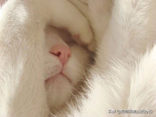 男朋友嫌我不上进要不要分手,男朋友不上进不努力怎么说分手