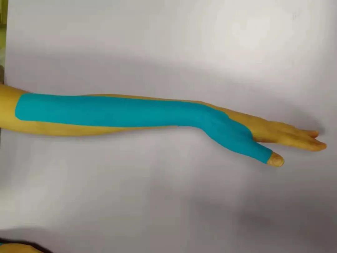 神兽归笼感谢老师,神兽回笼教师节