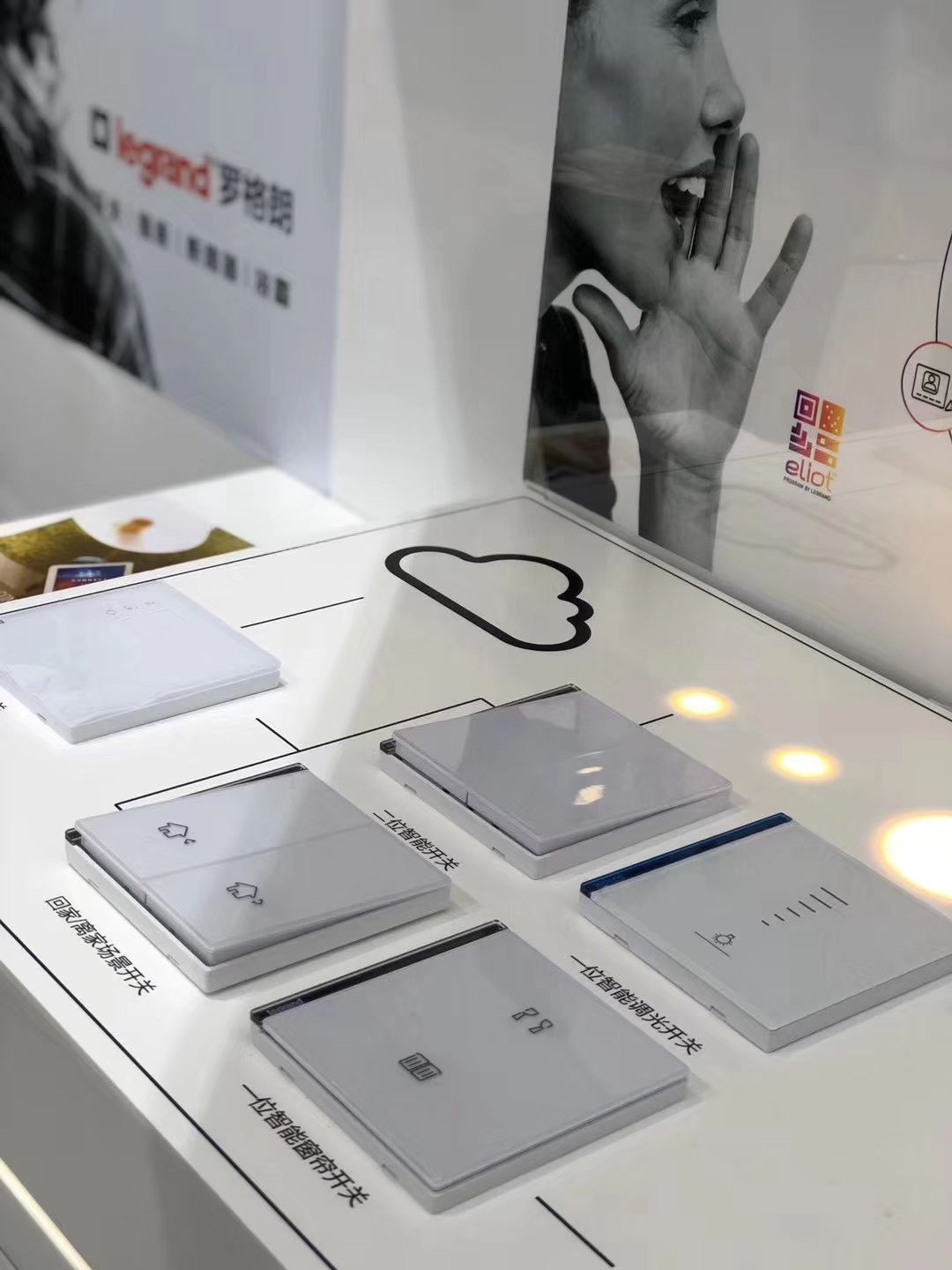 罗格朗年会,罗格朗跃展